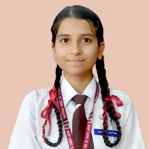 Blue House Captain